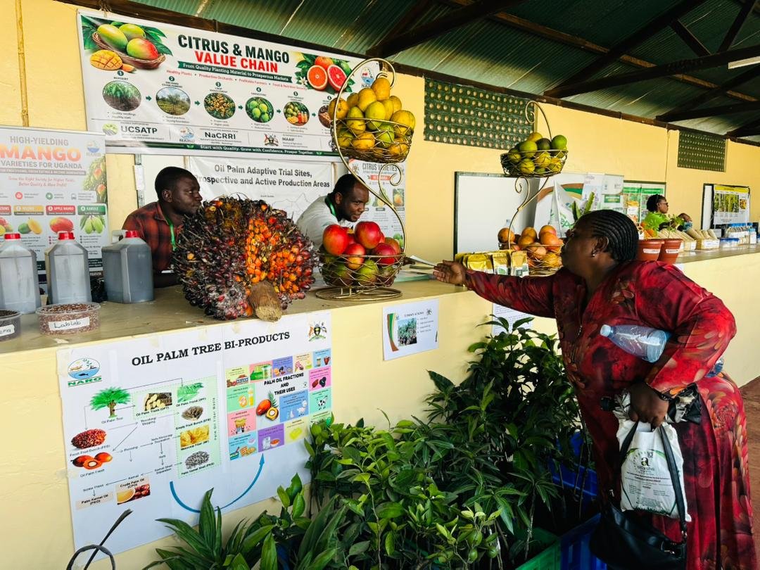 GideonSsekidde's tweet photo. We are ready!
The 32nd National Agricultural Show is now on at the showgrounds in Jinja City.
Come learn and grow with our exhibitors until 5th July 2026.
#GoldenPosts @MAAIF_Uganda @unffe @GovUganda
#AgShow2026 #GrowWithUNFFE #JinjaCity #UgandaFarming https://t.co/DvdmT0l4xN