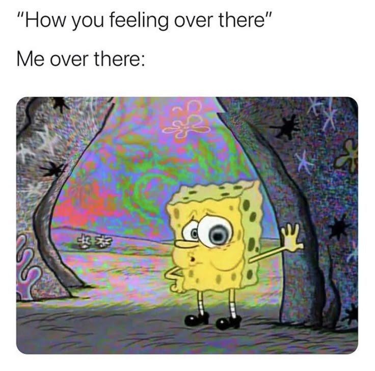backriz_dub's tweet photo. I'm high af 😂 https://t.co/FHKbDmn8is