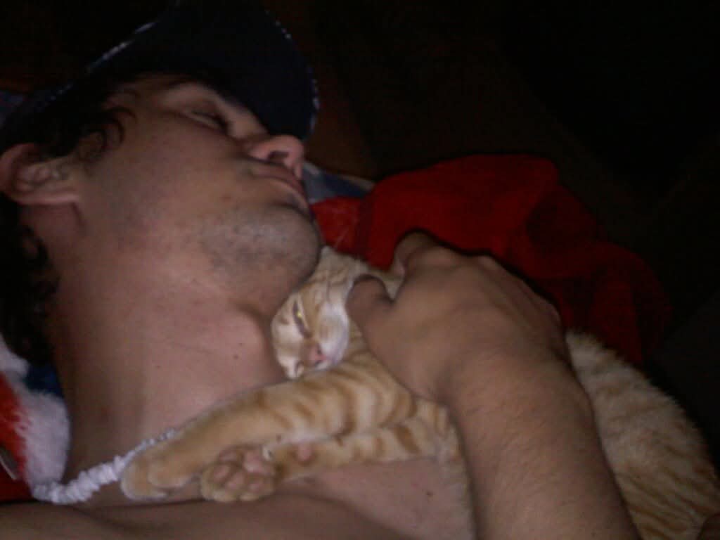 gamblebamble's tweet photo. I'm crushed. 15 yrs ago you were just a scared little orange kitty hiding behind a dumpster. Now you're crossing the rainbow bridge 😭😭 https://t.co/Op35iB9mlU