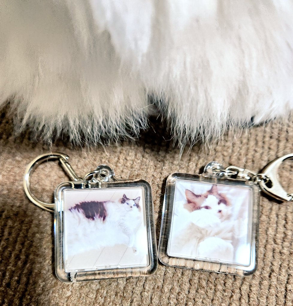 kayacoco59's tweet photo. @chilly___man ママさんこんばんは😃🌃
ありがとう❤
写真選びきれなくて笑
2種類作ったんだよ🎵
表と裏に写真あるよ📷 https://t.co/Ks3Ay5W1a0