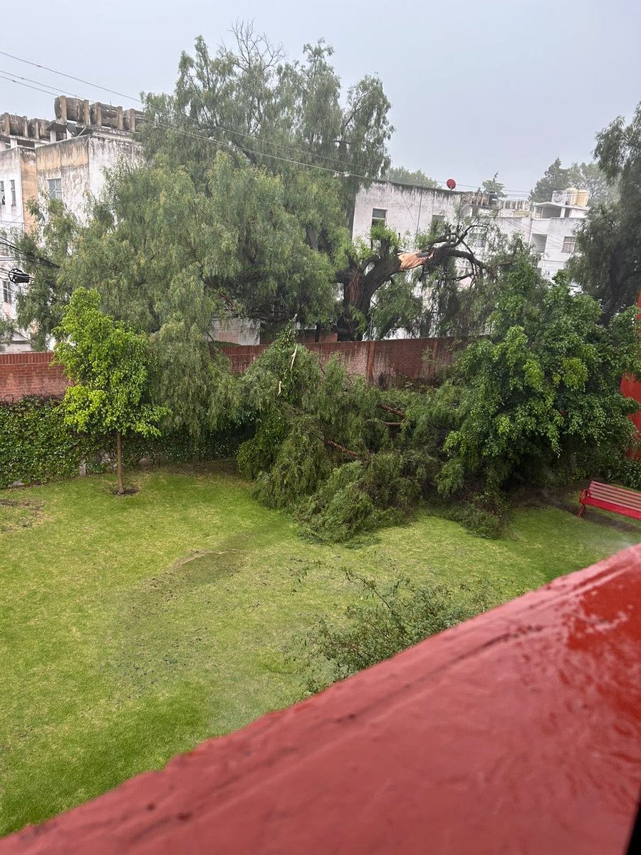 posaduca's tweet photo. @PueblaAyto @pepechedrauimx @LimpiaPue @Servicios_Pub 
La tormenta de ayer dejó así este árbol en el perímetro exterior del fraccionamiento La Encomienda de La Noria.
¿Quién se encarga del retiro?
Por seguridad no puede quedar así. https://t.co/8kWYIjS4ze