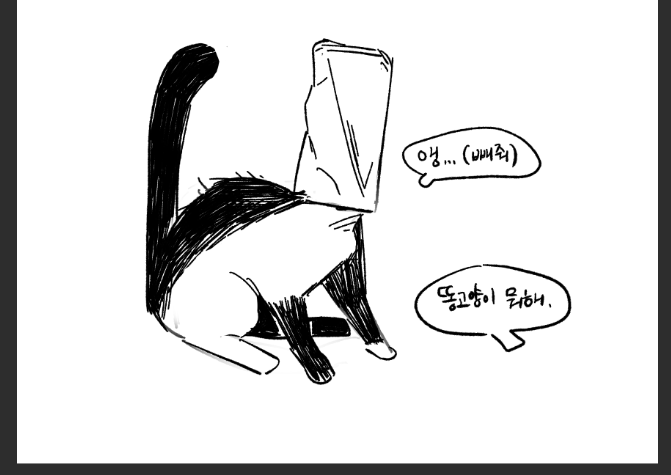 tikeumil_0's tweet photo. https://t.co/hGckHRbF2y