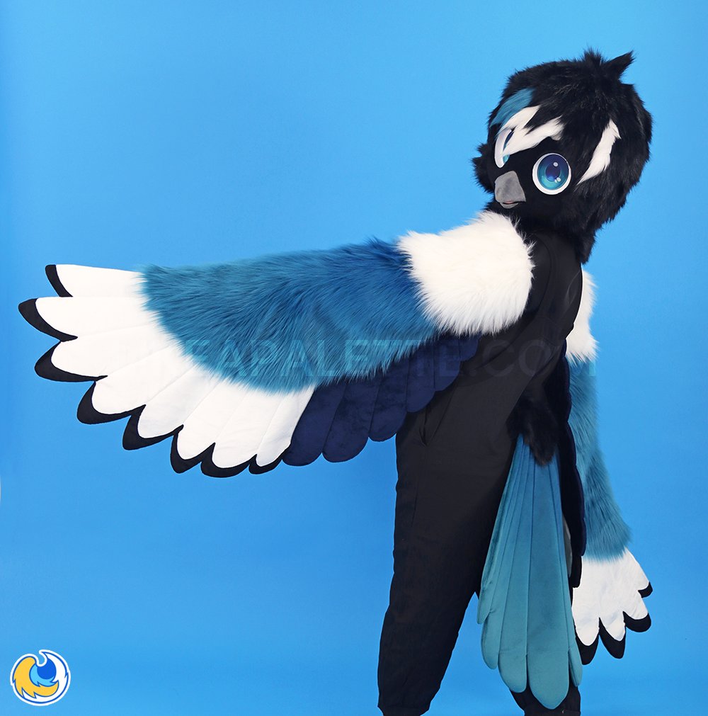 LikeaPalette's tweet photo. SEOL the Magpie 💙💚🐦‍⬛ 
CM Work https://t.co/OLqi8C9sZU