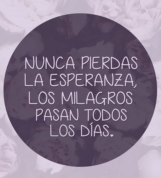 Chefpepin's tweet photo. Buenos dias 🙏 https://t.co/I5fHstT6dL