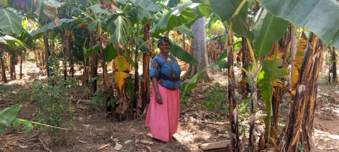 fapad16206's tweet photo. Before FAPAD's programs, Josephine practiced traditional farming with limited diversification which constrained her household income. With support from FAPAD, she embraced the agroecological principle of diversity which encouraged her to establish multiple enterprises on her farm https://t.co/pkHuBy9R0D