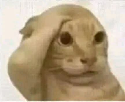 yukheirol's tweet photo. Brasa punya kebon sawit jir https://t.co/Q7sduMgUl1