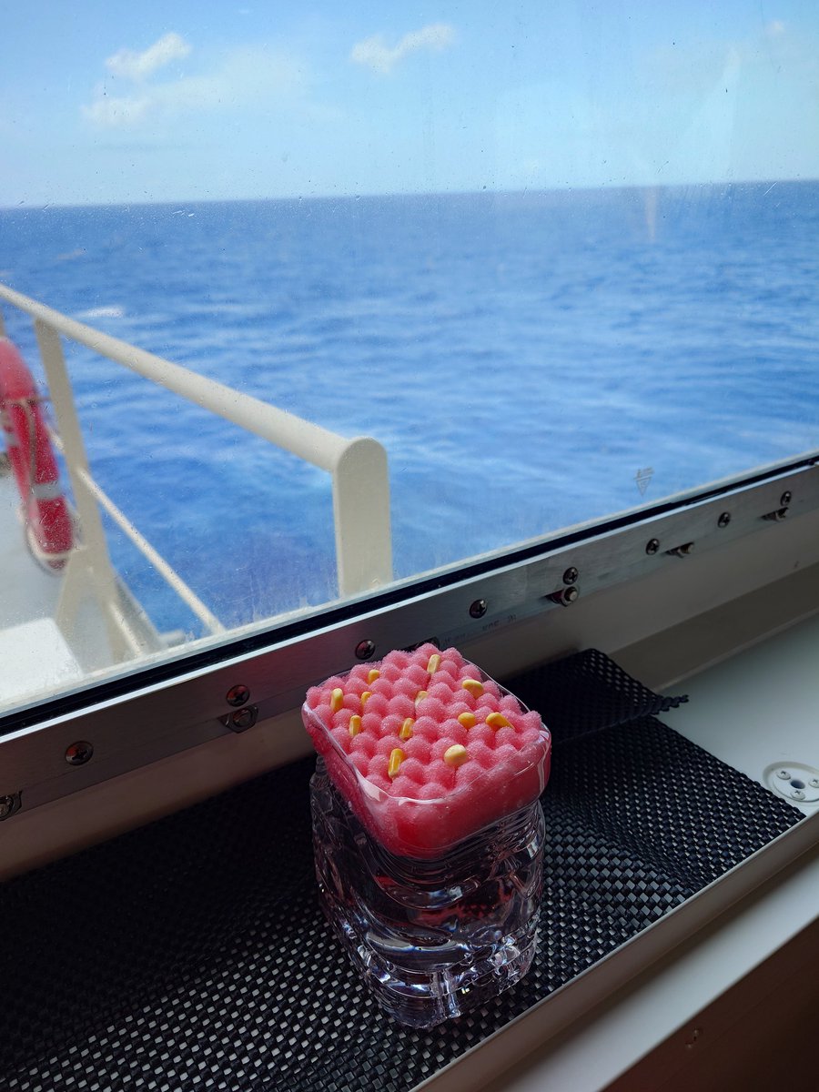 naari90's tweet photo. 自由研究。とうもろこしの観察。
1日浸水しても、3時間湯がいても硬いままだったけどいけるんでしょうかね。
教えて偉い人。 https://t.co/uLjolaoYDT