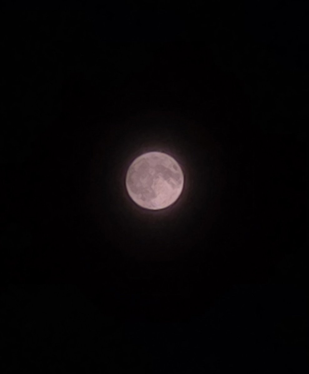Bell_a_ndy's tweet photo. 분홍색 달이 떴어요. 🩷🌕🎀 https://t.co/ip6hYhr6yV
