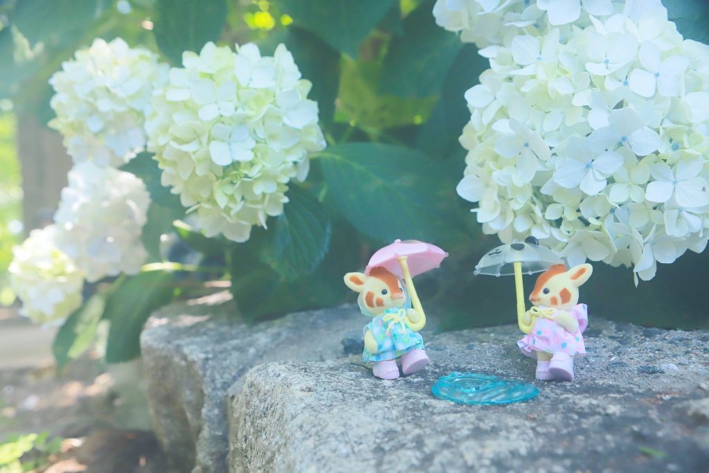 nonncamera's tweet photo. #月曜からシルバニア
お題は自由だったので前に撮った紫陽花とキリンちゃんたちを🦒🦒☂️

#シルバニアファミリー 
#sylvanianfamilies
#シル活　#外バニア https://t.co/YFE5usoaqI