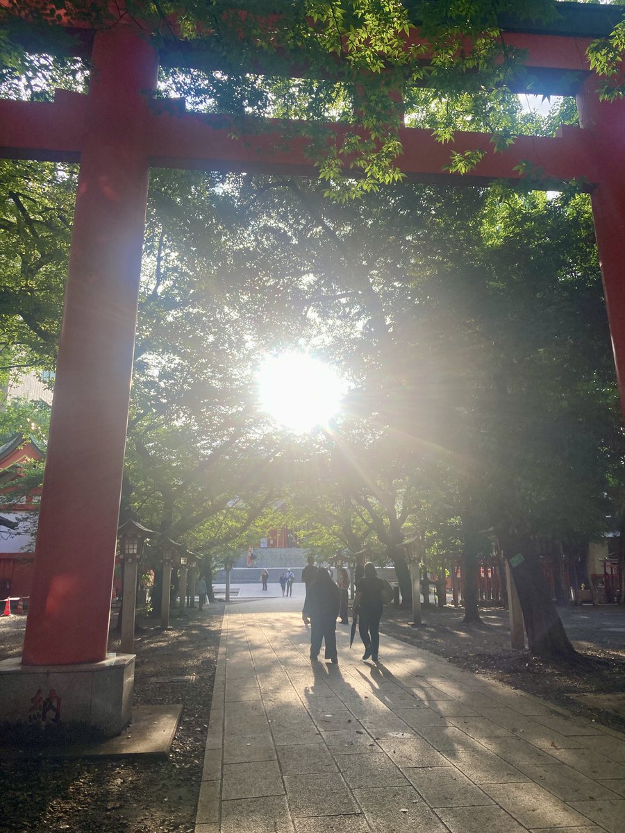 misakoao's tweet photo. 茅の輪をくぐろうと花園神社に寄ったらやってなかったけど笑、パワフルなお稲荷さんにお参りできて、さらにスッキリ✨　茅の輪くぐりの代わりに伊勢丹で仙太郎の水無月を買いました。重苦しかった上半期をふりはらって、下半期は軽快に過ごせますように。(昼間の花園神社は初めて見たかも) https://t.co/913myQIjpL