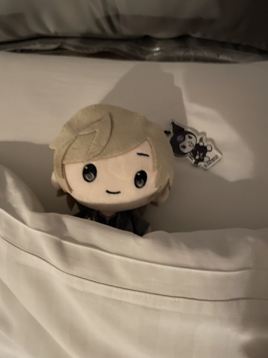 usa___x's tweet photo. グランピングなう
(実はぬい買ってた) https://t.co/wLkExokIFC
