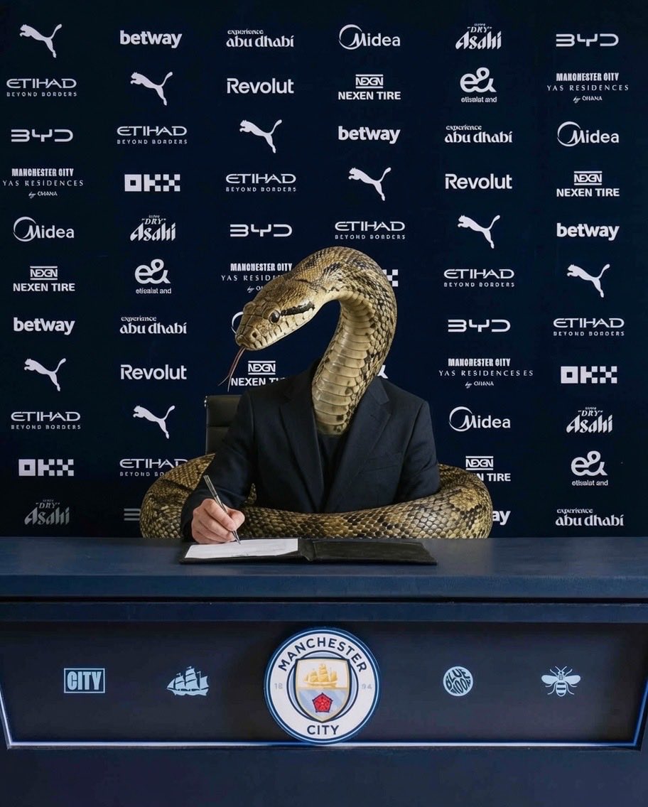 MoTweet15's tweet photo. @ManCity https://t.co/fUHJYpXYwN