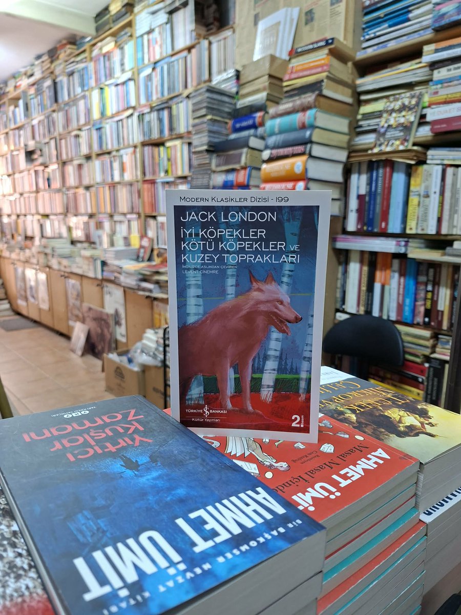 SemerkantKitabe's tweet photo. Jack London kitapları... 

#jacklondon #beyazdiş #martineden #iyiköpeklerkötüköpeklervekuzeytoprakları #kızılveba #dünyaedebiyatı #roman #işkültüryayınları
.
Satış için 👇 📚

https://t.co/wCAdTC3BQ5
.
https://t.co/pw91ZWfa2g
.
https://t.co/nYbh9dV50S
.
https://t.co/PVN3ZeOhLg https://t.co/VysfJ1gEw1