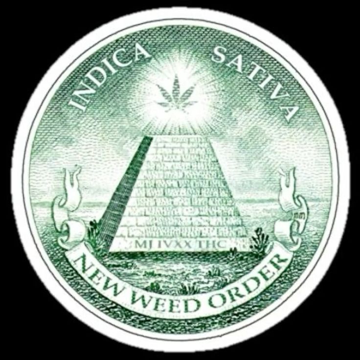 Immabitch23's tweet photo. @SJ420Too https://t.co/Kf1Fqq5a7p