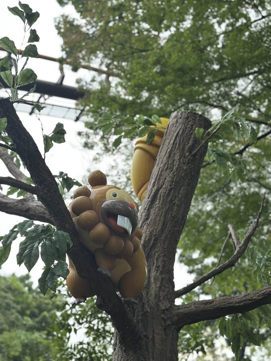 ri46t's tweet photo. どてーーーん🌳 https://t.co/47U9ENiCwS