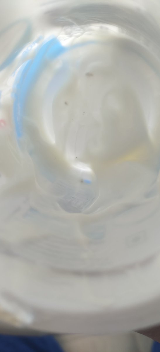 KnownLoser0's tweet photo. Very disappointed with my experience. After eating almost an entire Milky Mist yogurt, I found a strange object at the bottom of the cup. This is a serious food safety concern. Attached the product details Hoping for a prompt response from @MilkyMistIndia #Foodsafety https://t.co/J707TpggJM