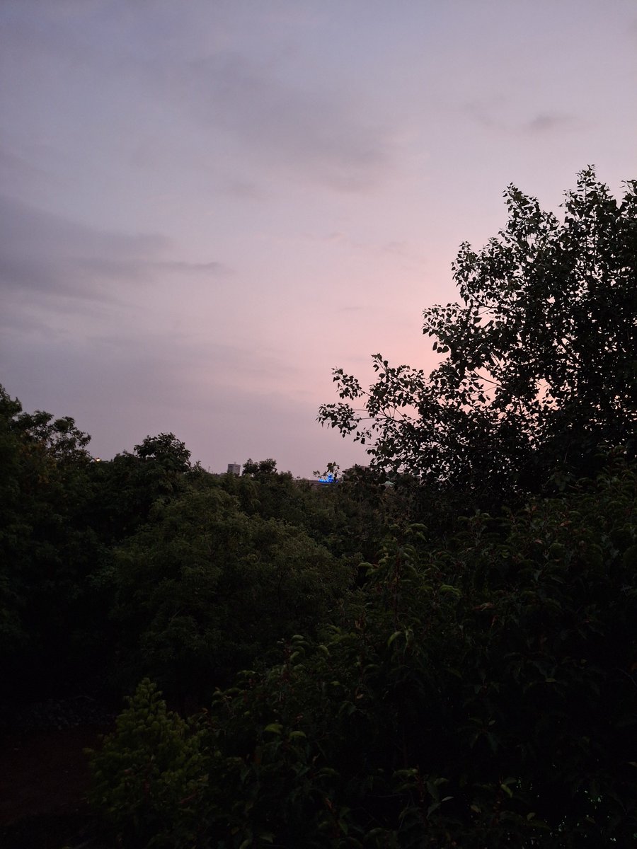 suyash0909's tweet photo. Calm Evening 🍂🌆 https://t.co/lbGdsuyxBo