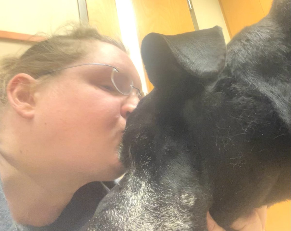 DogsareMiracles's tweet photo. @cutiieepie6 I have for each &amp; every one of my pets &amp; service dogs. And I stay until their souls go to Heaven. My last service dog (Bentley a Great Dane died with his head in my lap. It breaks me every time but I will always stay so they die with love. Pic of Ben before he laid down and died. https://t.co/JogHwayIpV