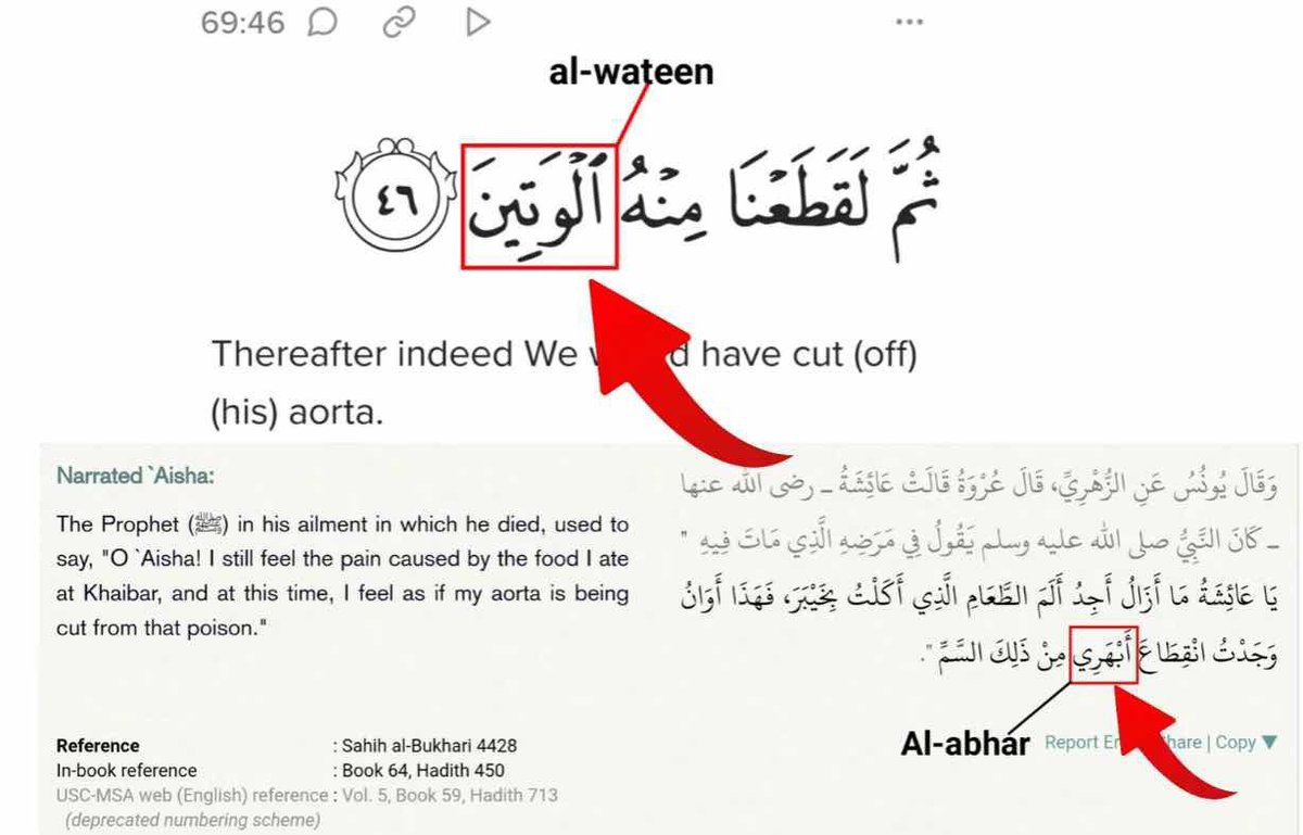 broly2377's tweet photo. @BurningFalse @IshmaelSeidu5 @Jay_49erTikTok @InspiringPhilos You were already refuted and debunked on this. And Dr. Nasser himself has destroyed this claim. 

https://t.co/5mxoNoWxDo https://t.co/eaU60E8qG5