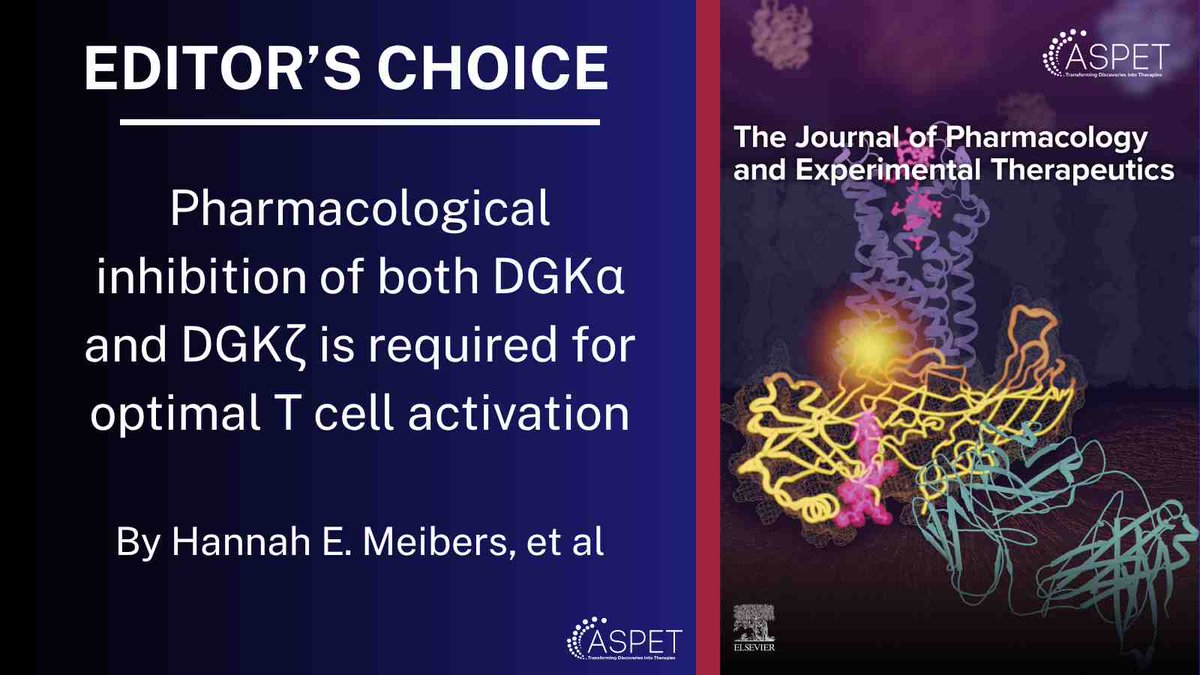ASPET's tweet photo. Read JPET's recent Editor's Choice, which gives hope that a novel treatment may come to fruition to help our endogenous T cells target cancer: https://t.co/rwbvCmDSkc https://t.co/StWfKyE2ZQ