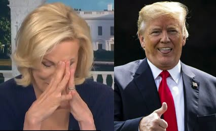 OccupyDemocrats's tweet photo. BREAKING: "OH MY GOD! OUCH!" Morning Joe’s Mika bursts out laughing after Fox News accidentally exposes Trump’s latest crowd size disaster at his "Great State Fair!"

Donald Trump has spent years obsessing over crowd sizes, so naturally his allies are still trying to convince America that sparse turnouts are actually massive gatherings if you just squint hard enough.

That effort hit a brick wall Monday when co-host Mika Brzezinski watched a Fox News segment defending attendance at Trump’s Freedom 250 “Great American State Fair” event and simply lost it.

Trump has claimed that 45,000 people attended his speech at the Trump-backed celebration in Washington, D.C., despite multiple reports and visual evidence suggesting the crowd was dramatically smaller.

News outlets estimated attendance at roughly 1,000 people, and photos showed that the audience occupied only a relatively small portion of the event grounds.  

Still, Fox News correspondent Kevin Corke insisted viewers were getting the wrong impression.
“And sometimes the pictures really don’t tell the full story because if you look behind us you see, okay there are a couple hundred people back there,” Corke said.

“But the truth is when you make your way over here and you're in a wash of people.”

That’s when Mika lost it. 

“Oh my God!” she exclaimed before bursting into laughter. “OUCH!”

Corke said it with a straight face, but the camera didn't lie.  

As Corke attempted to explain that unseen multitudes were lurking somewhere beyond the lens, viewers could plainly see a large open grassy area behind him that looked considerably less like Woodstock and considerably more like a county fair that forgot to advertise.

Conservative commentator Jonah Goldberg delivered the coup de grâce.

“If only they had employees who knew how to operate cameras that could capture these images he describes,” Goldberg quipped.

For years, Trump has treated crowd sizes the way Captain Ahab treated the white whale. No matter what else is happening in the world, he always seems to circle back to proving that more people showed up for him than for anyone else.

Unfortunately for Team Trump, cameras remain stubbornly nonpartisan.