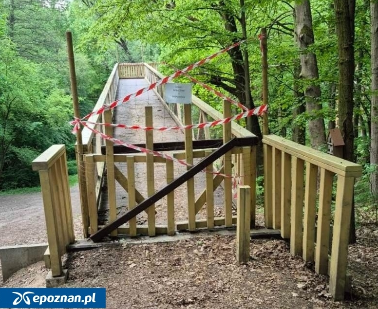 KrZerko's tweet photo. W Poznaniu za 4 mln zł zbudowano ścieżkę w koronach drzew - fajną drewnianą kładkę na odpowiedniej wysokości, na środku możliwość piknikowania.
Już po 6 latach nastąpi rozbiórka. Kto by pomyślał, że każdy dzień funkcjonowania konstrukcji kosztował mieszkańców prawie 2 tys. zł. https://t.co/SaeIMqvkCm