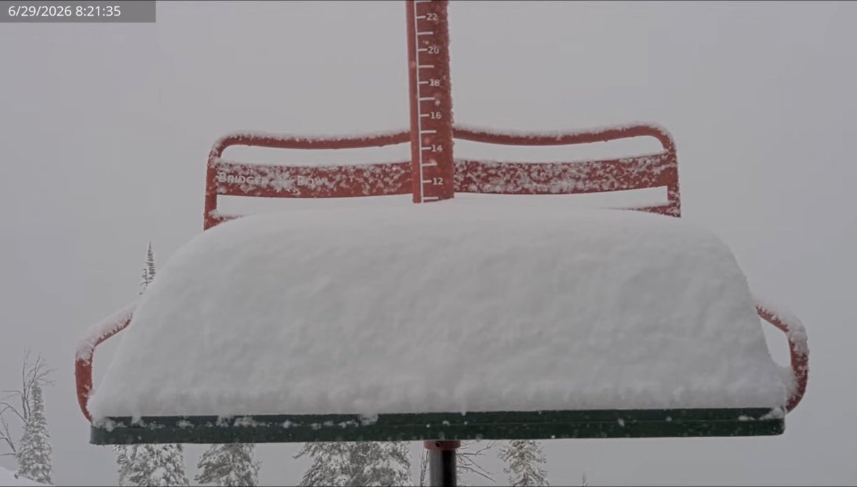 bisontattooguy's tweet photo. There is nearly a foot of new snow at Bridger Bowl right now. https://t.co/N3mMbzAHEm