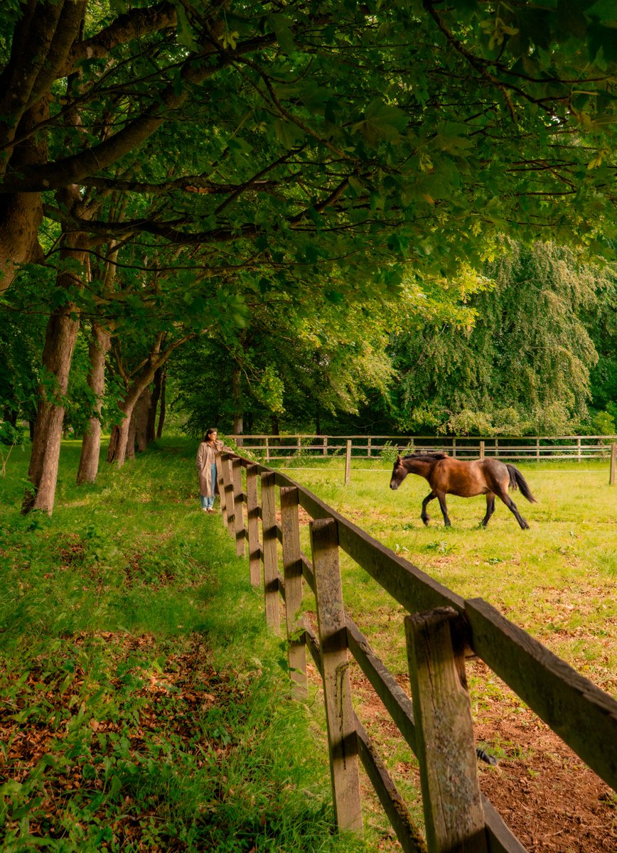 AlexKittoe's tweet photo. Little moments from the Cotswolds https://t.co/YEYwT0et3t