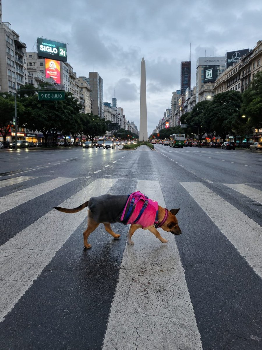 Hogaza_25's tweet photo. ¿Que tal su fin de semana?
El mio movidito, estuve paseando por la 9 de julio, escale el obelisco, me baile unos tangos en La Boca y volví en subte porque estaba muy cansada. https://t.co/I0Sl3Ggz9p