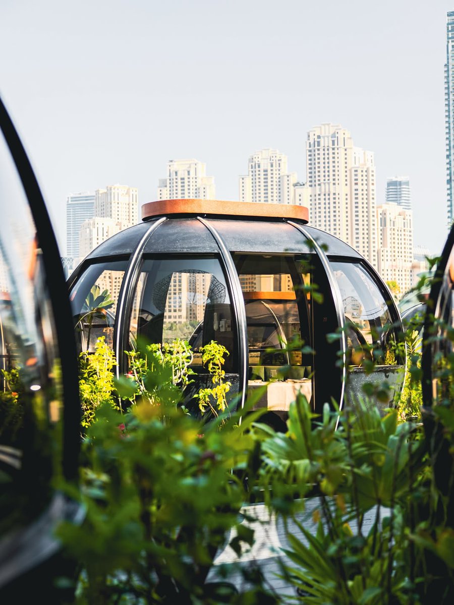 VisitDubai_DE's tweet photo. Ein besonderer Anlass oder ein romantisches Dinner. 🤍🎉

Die privaten Dining-Pods bieten kulinarische Highlights in einer einzigartigen Atmosphäre. 

📸 IG/ thepodsDubai

#VisitDubai https://t.co/S5HEzpHG9T