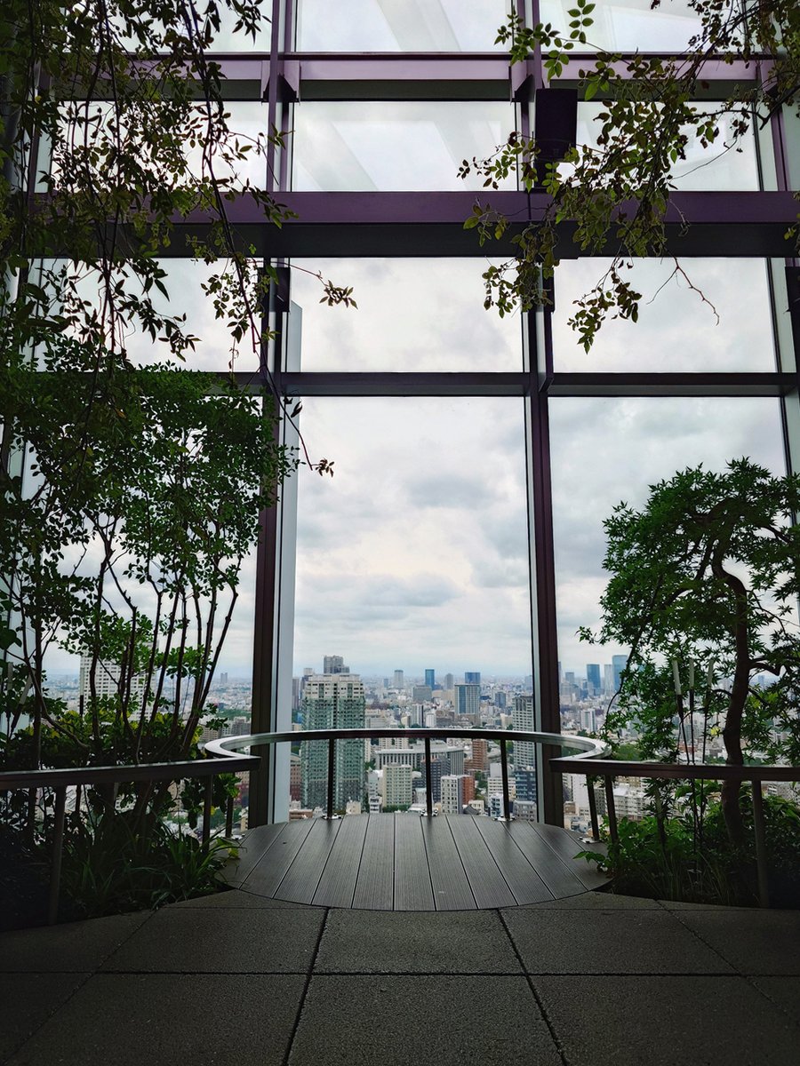 FieCro's tweet photo. ルフトバウムへ、アジサイを観に。
初めて明るい時間に来たのですが、
翠の庭、植栽の手入れが行き届いていて
樹形がすごくきれい、驚きました。

#敷嶋重工写真部 https://t.co/WkA5DRbbgt