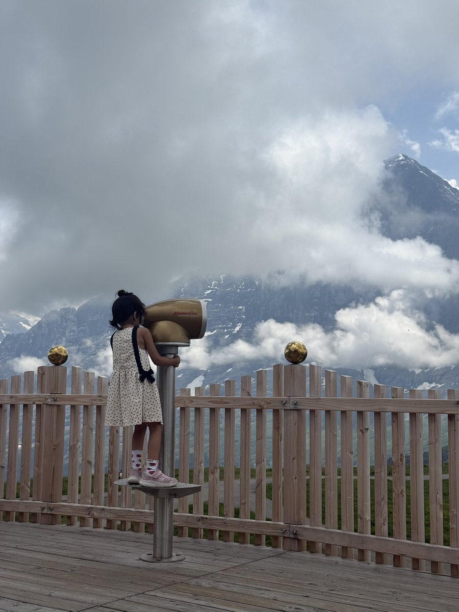 GabbbarSingh's tweet photo. The real tourist attraction is the Swiss engineering. Great views are all around the world, but the Swiss make it so safe to approach & enjoy for all age groups. It’s the mix of natural beauty & human machinery. 2000 meters of vertical climb in 30 mins. It will take 4 hours in India by road.