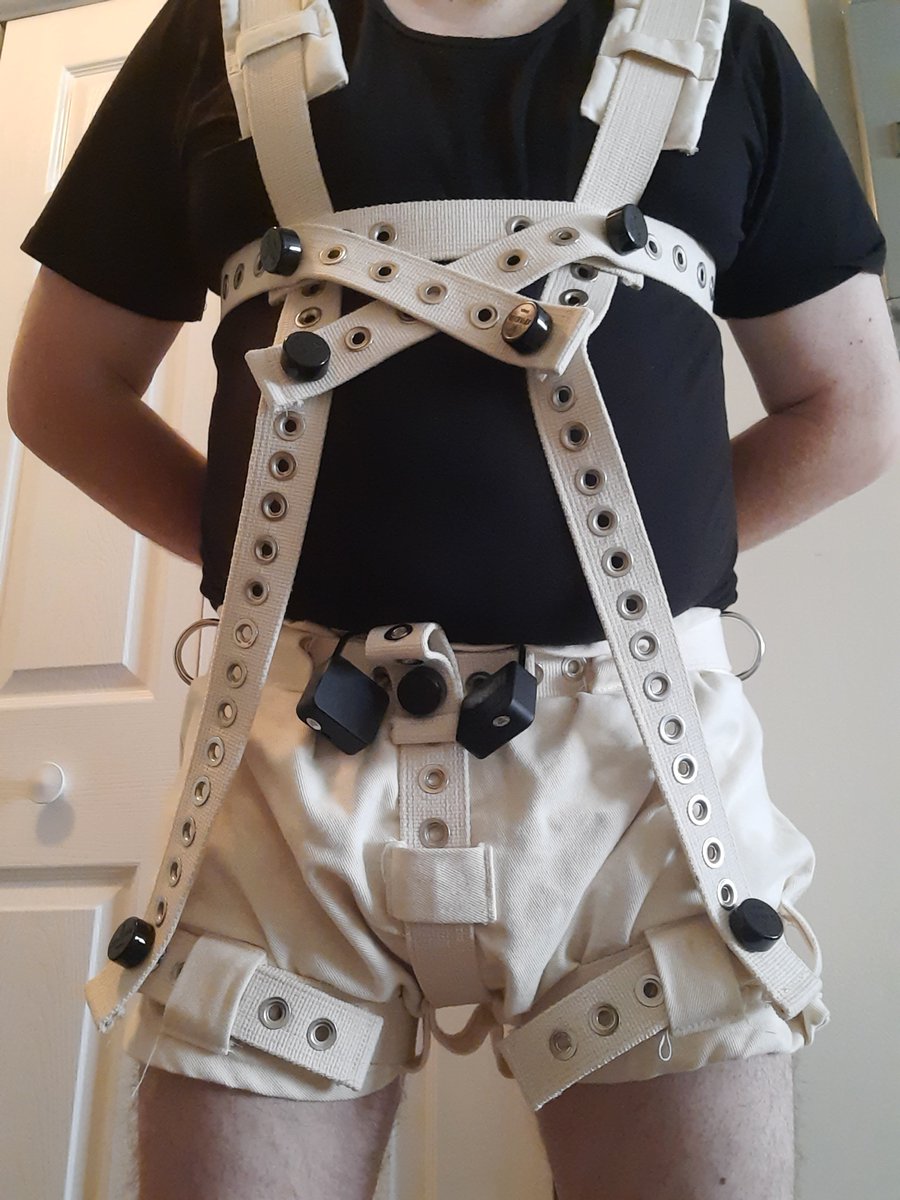 HeyItsTopper's tweet photo. For those pups who can't be trusted, extra security is required. https://t.co/Ua8ntkPbIM