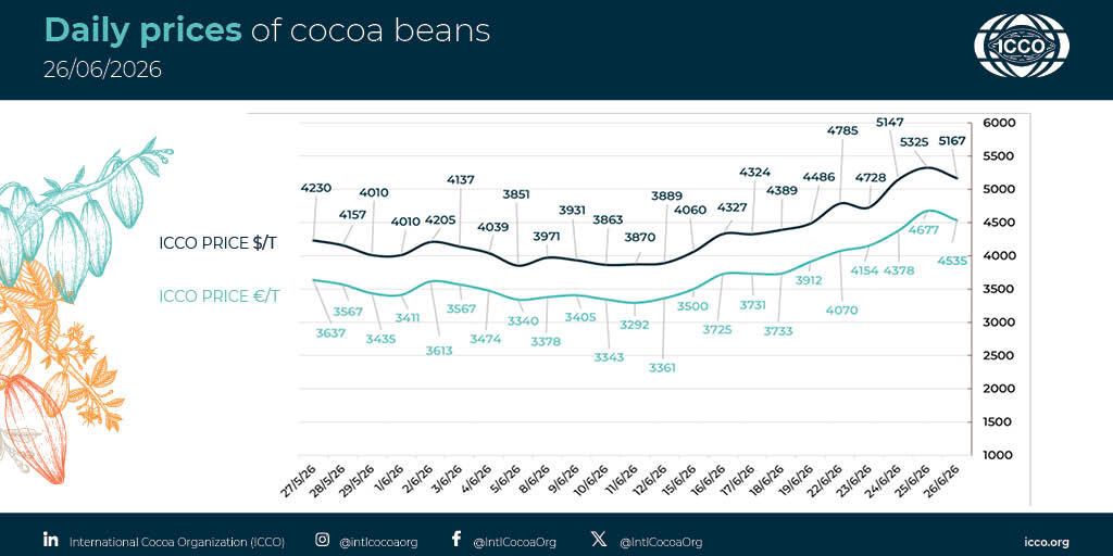 IntlCocoaOrg's tweet photo. 🔴 26/06/2026 #Cocoa Daily Prices - Prix du jour - Precios diarios - Ежедневные цены

💵 ICCO daily price - 5166.63 $/T
💶 ICCO daily price - 4535.27 €/T

More #cocoa statistical info in our webpage 🔗 https://t.co/0t3CE7hXP4

#ICCOCocoaHub #ICCOCocoaData #ICCOCocoaKnowledge https://t.co/4Xo6NPfILf