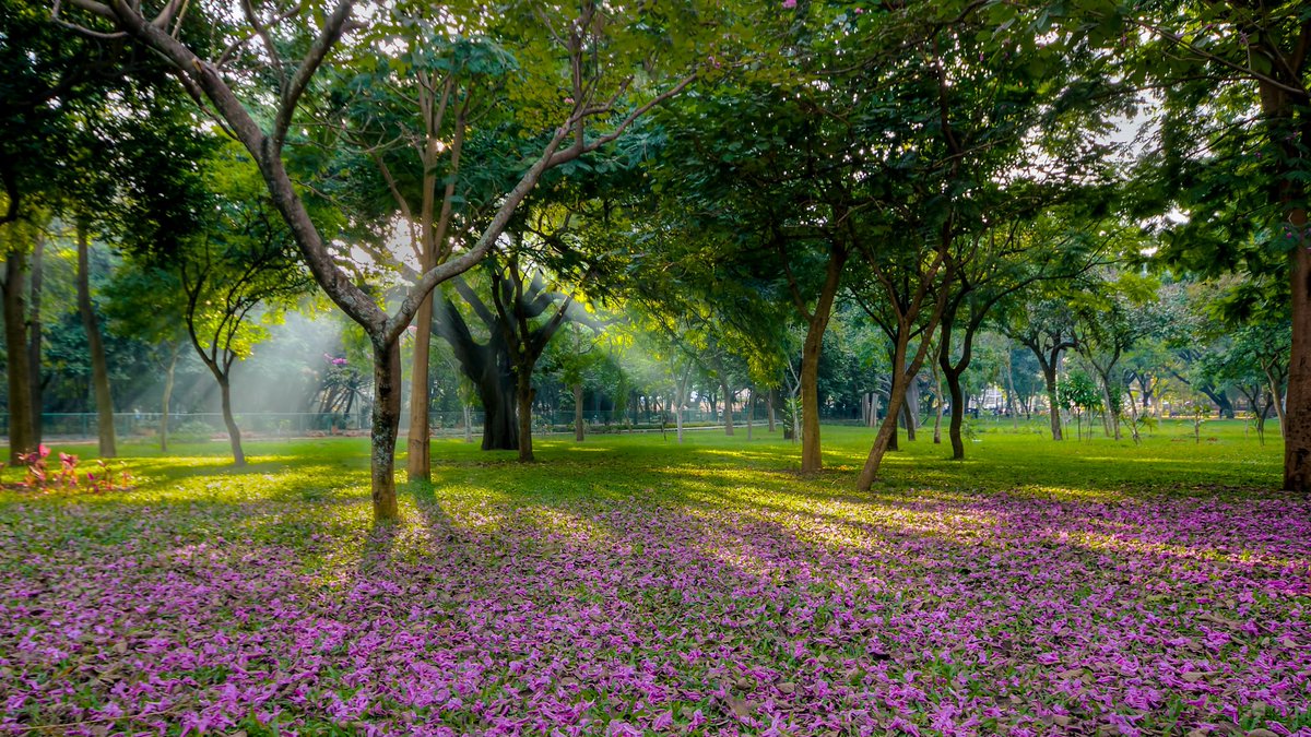 Iamaryan_1's tweet photo. Bengaluru isn't just a city; it's an emotion. Fuelled by filter coffee, driven by tech innovation, and blessed with the best weather in the country. ☕️🚀 #Bengaluru #StartupHub #SiliconValleyOfIndia https://t.co/OCRvbOJkLF