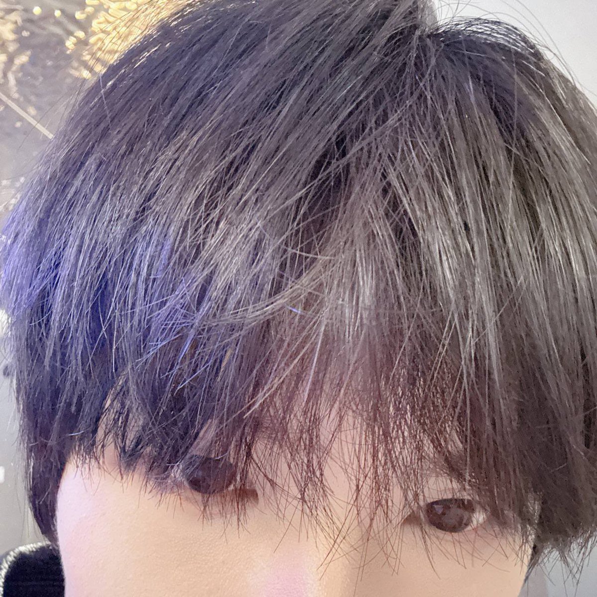 0825media's tweet photo. 260629 🐹 PROFILE UPDATE https://t.co/yuc3ACfgbx