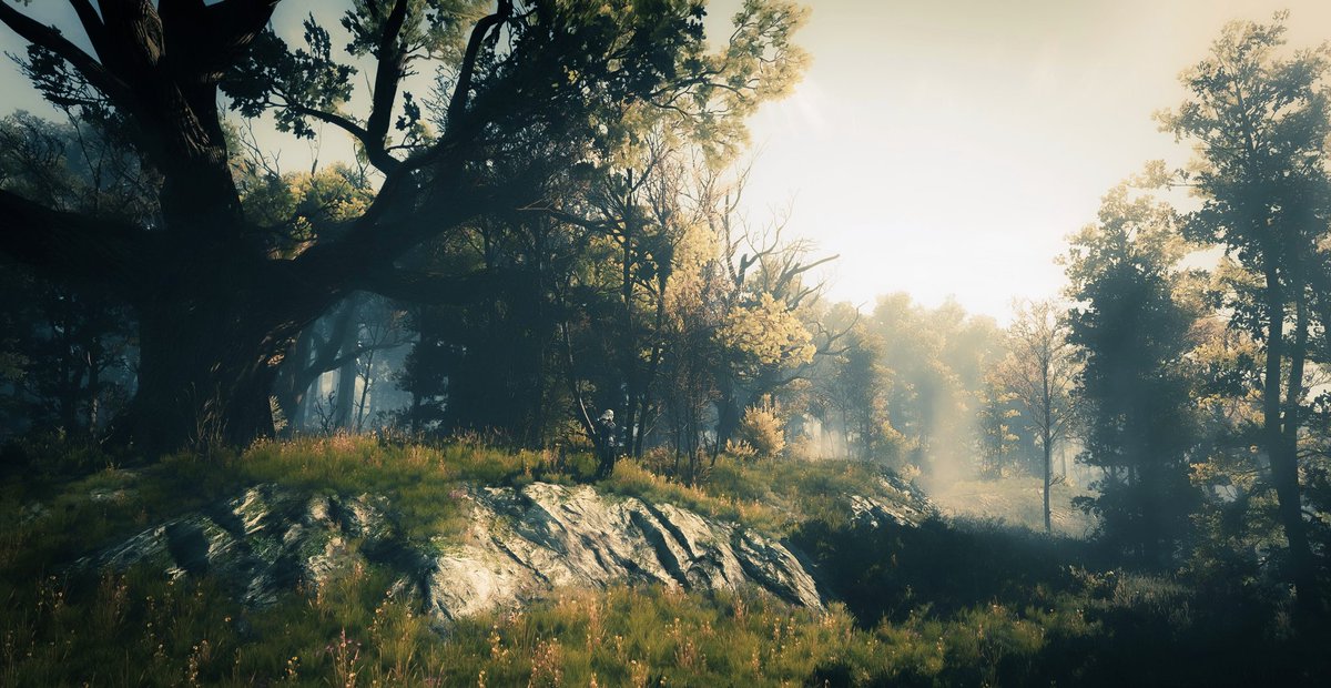 Striker_Vp's tweet photo. The Witcher 3: Wild Hunt
#TheWitcher3 https://t.co/EweYk69hTb