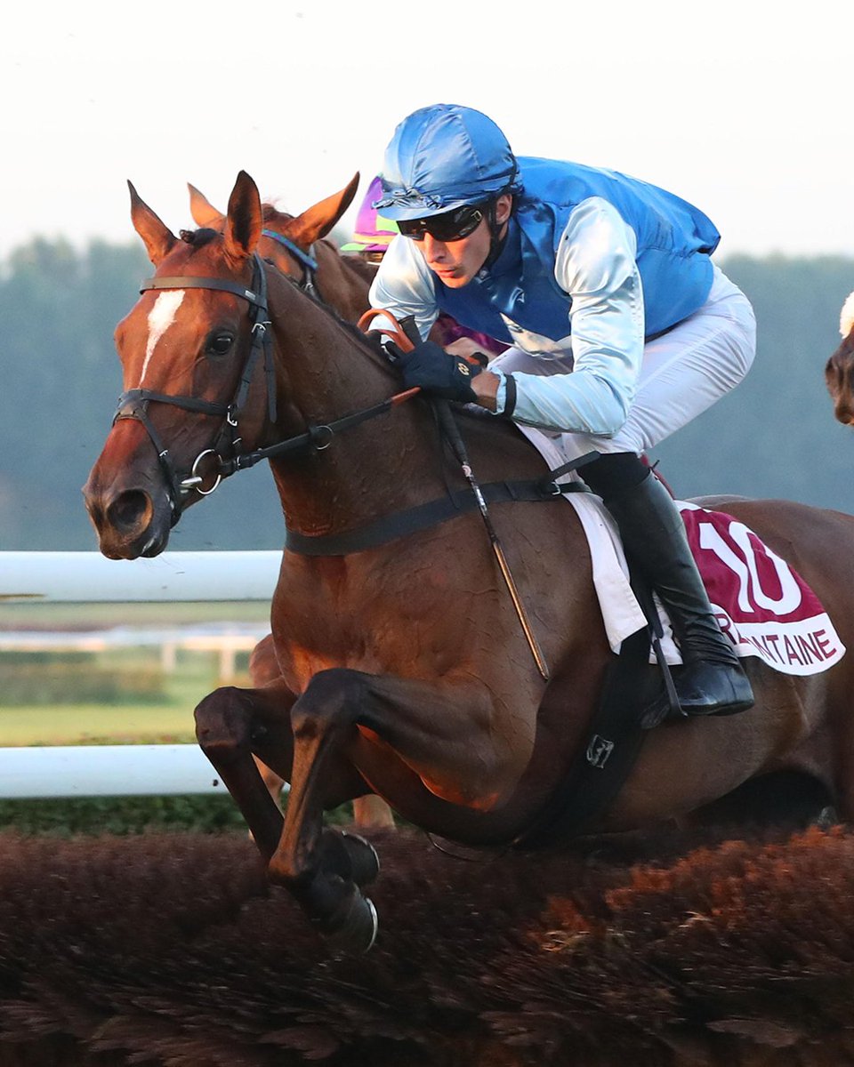 ARQANA tweet media