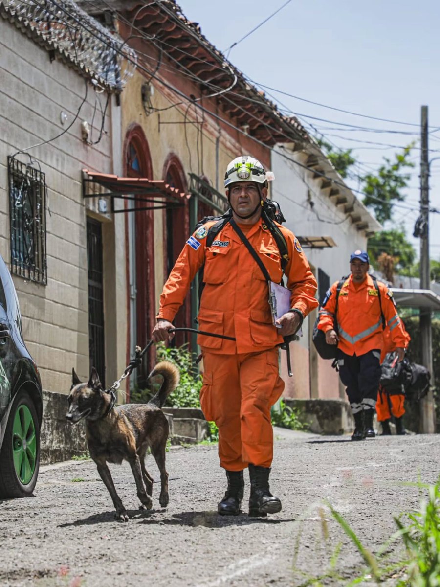 Rambothesavior's tweet photo. Retweet if you believe one good boy + one good community can actually make a difference in Venezuela.

$Rambo loading… 🐾 https://t.co/HXnmAg3Ztj