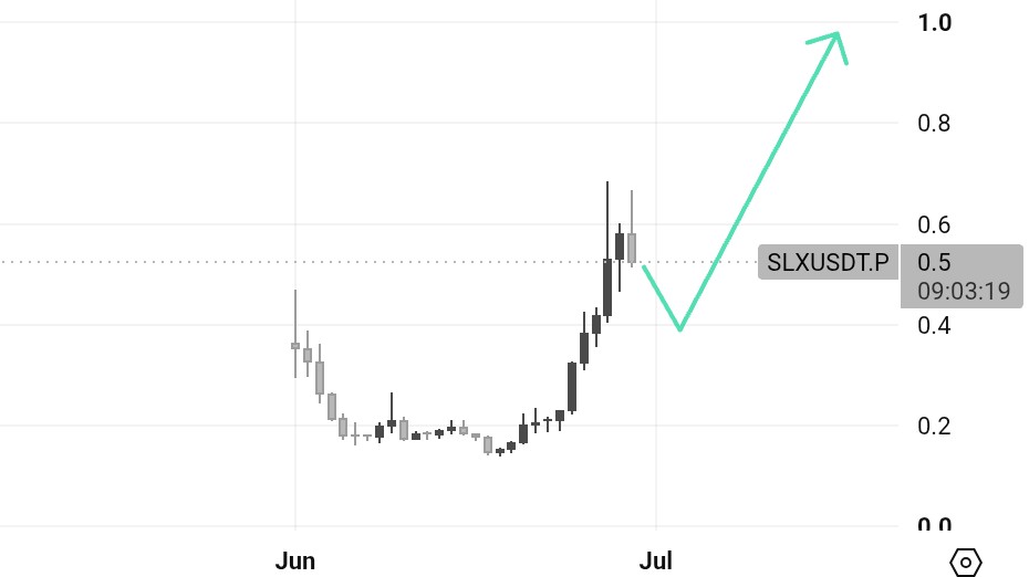 CryptoSuperior0's tweet photo. $SLX went from $0.10 to $0.55 and it's not done yet.

Pulling back to retest the breakout zone right now.

Next target?  $1 https://t.co/dCRcNiUSPI