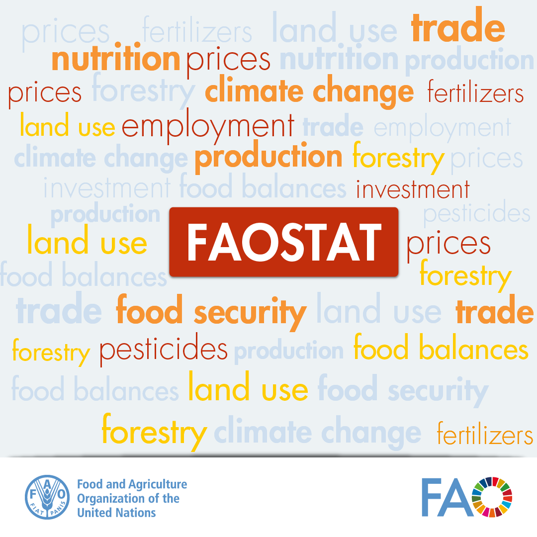 FAONewYork's tweet photo. #DYK #FAOSTAT provides free access to food and agriculture data for over 245 countries?

Want to know:
World's largest banana producer?
Top 10 world chicken producers?

Find all this (&amp; much more!) on FAOSTAT👇

https://t.co/yALHoHOrJy https://t.co/jkcSxcYS83