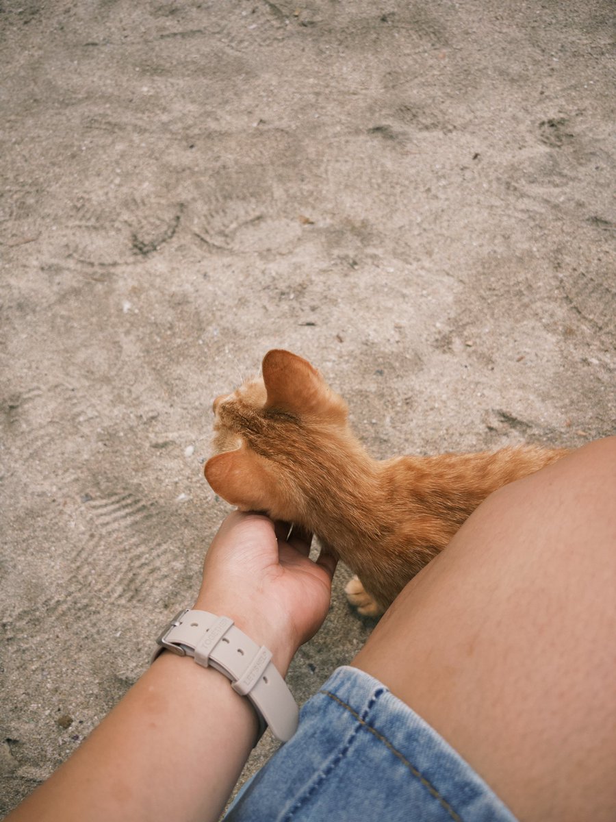 purritto's tweet photo. In batangas, while waiting for our ride otw home https://t.co/4oPGOqV2xC