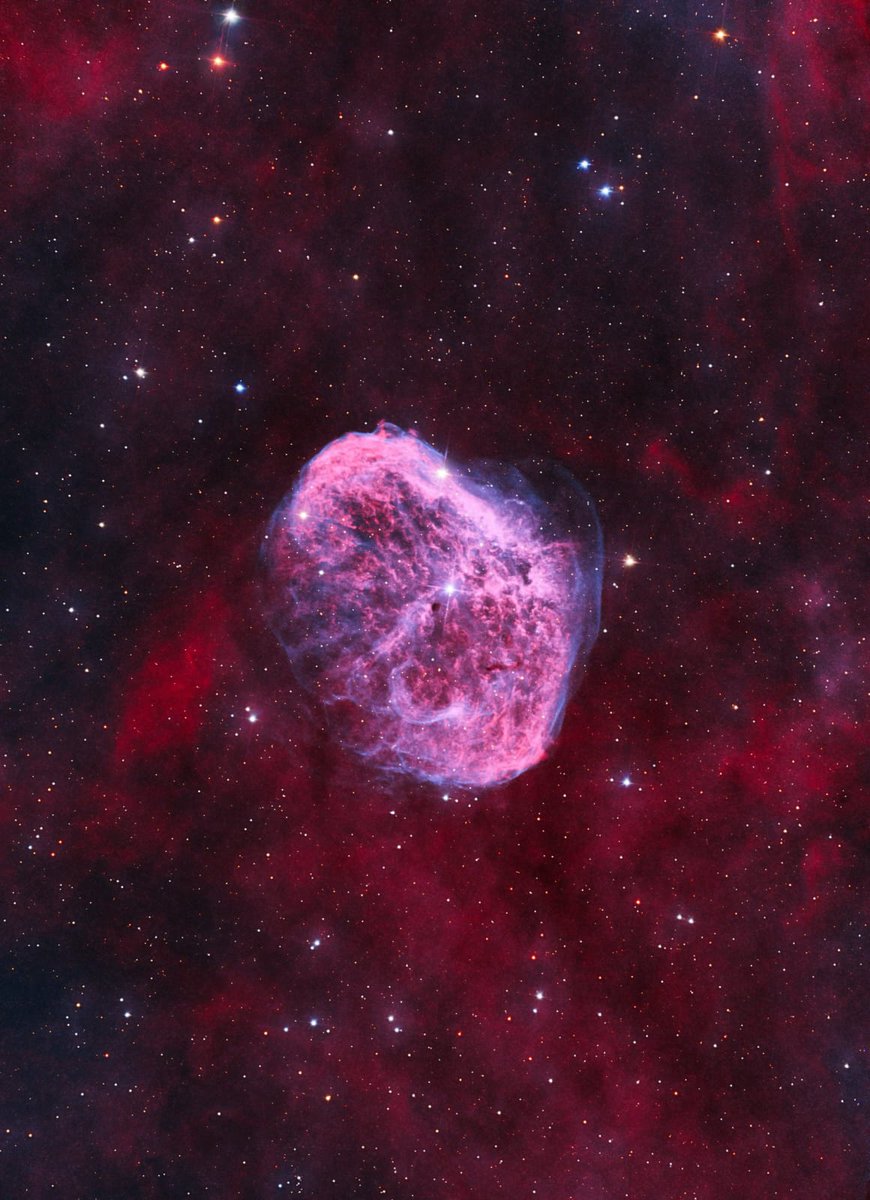 spacevibex's tweet photo. The Crescent Nebula 🥹 https://t.co/dinuCJhEqz