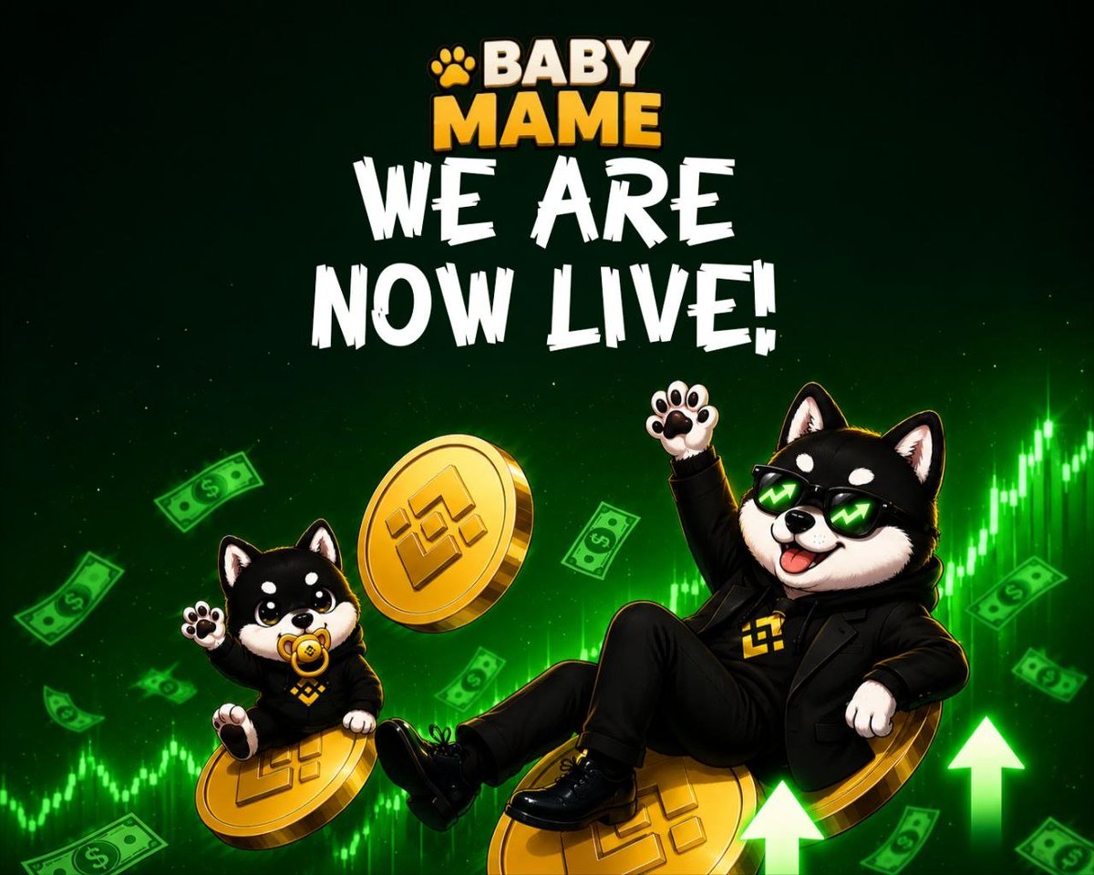 Baby_Mame_Bnb's tweet photo. 🚨 $BABYMAME IS NOW LIVE ON PANCAKESWAP! 🍼

As $MAME keeps pushing higher and building momentum, every BabyMame holder earns 3% rewards in $MAME. 💰

Hold BabyMame.
Accumulate $MAME.
Ride the bloodline. 🐾

📍Official CA:
0x8053432430A9E0171271bA785716f23DD2fa6666

The First Pup has officially arrived. 🚀