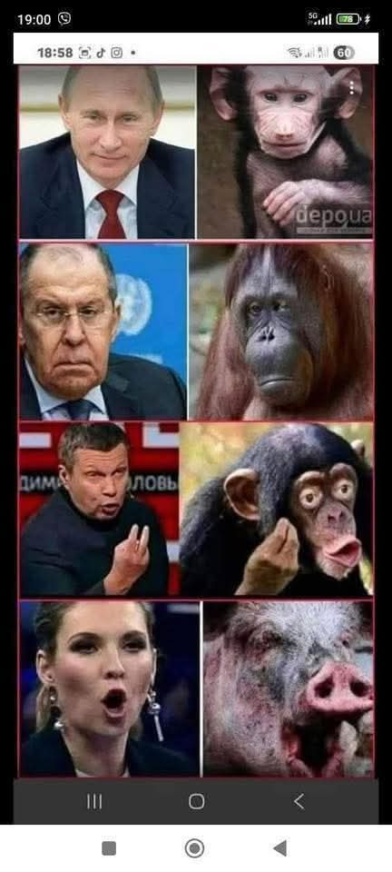 jeanfranoiscool's tweet photo. @cecchin1_nadia @0TulsiGabbard2 VOUS ÊTES UN GROS CRÉTIN PRO MAFIA RUSSE : POUTINE POSSÈDE ENTRE 200 MILLIARDS ET 600 MILLIARDS DE DOLLARS, GRÂCE SON SALAIRE DE PRÉSIDENT RUSSE ??QUI CROIT ÇA ? VOUS ??😂😂😂😂😂😂😂 https://t.co/iq7lo7lfJo