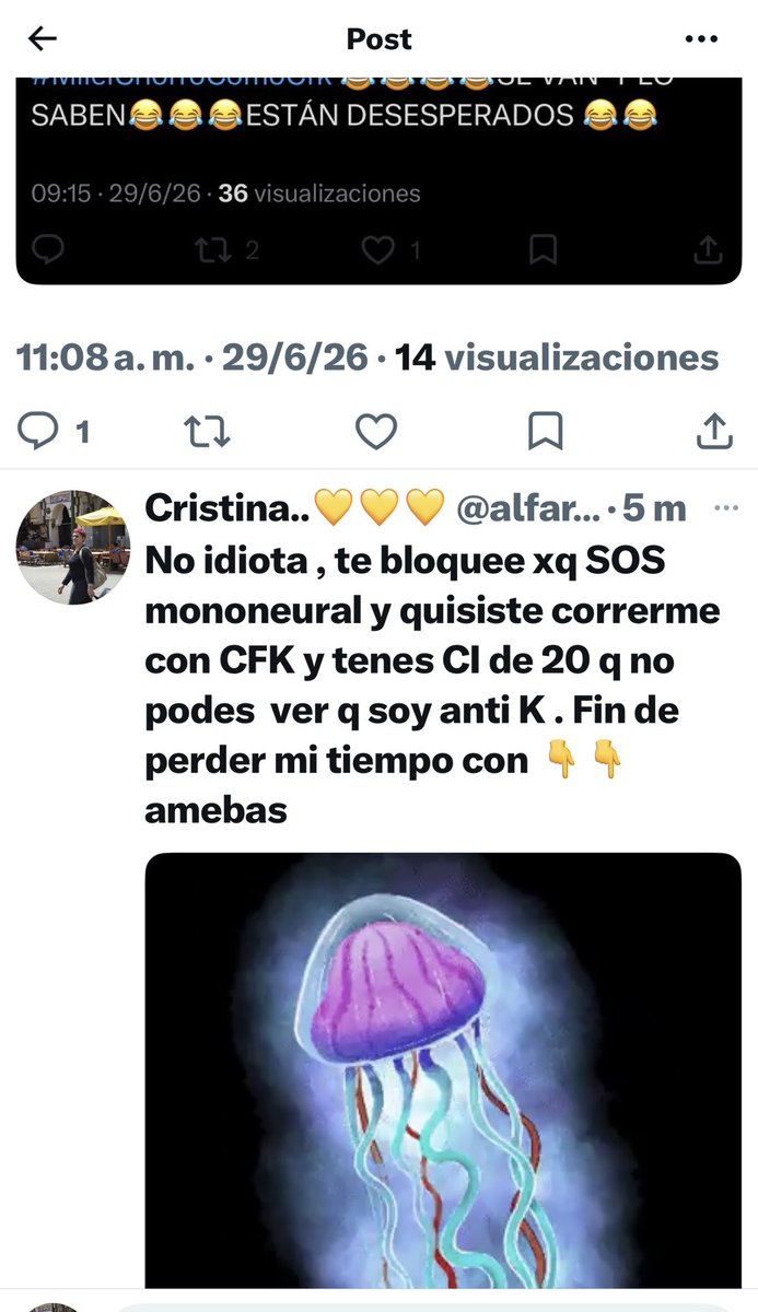 alfaro_melina1's tweet photo. @draIronWoman @slcaputo @OPRArgentina @MinJusticia_Ar @JMilei @edufeiok Ya me avisaron CI DE 20 https://t.co/KLH6W4SpnV