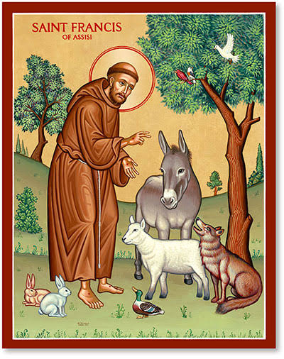 HesKev's tweet photo. St Francis of Assisi approved https://t.co/CtCeXjpyIu