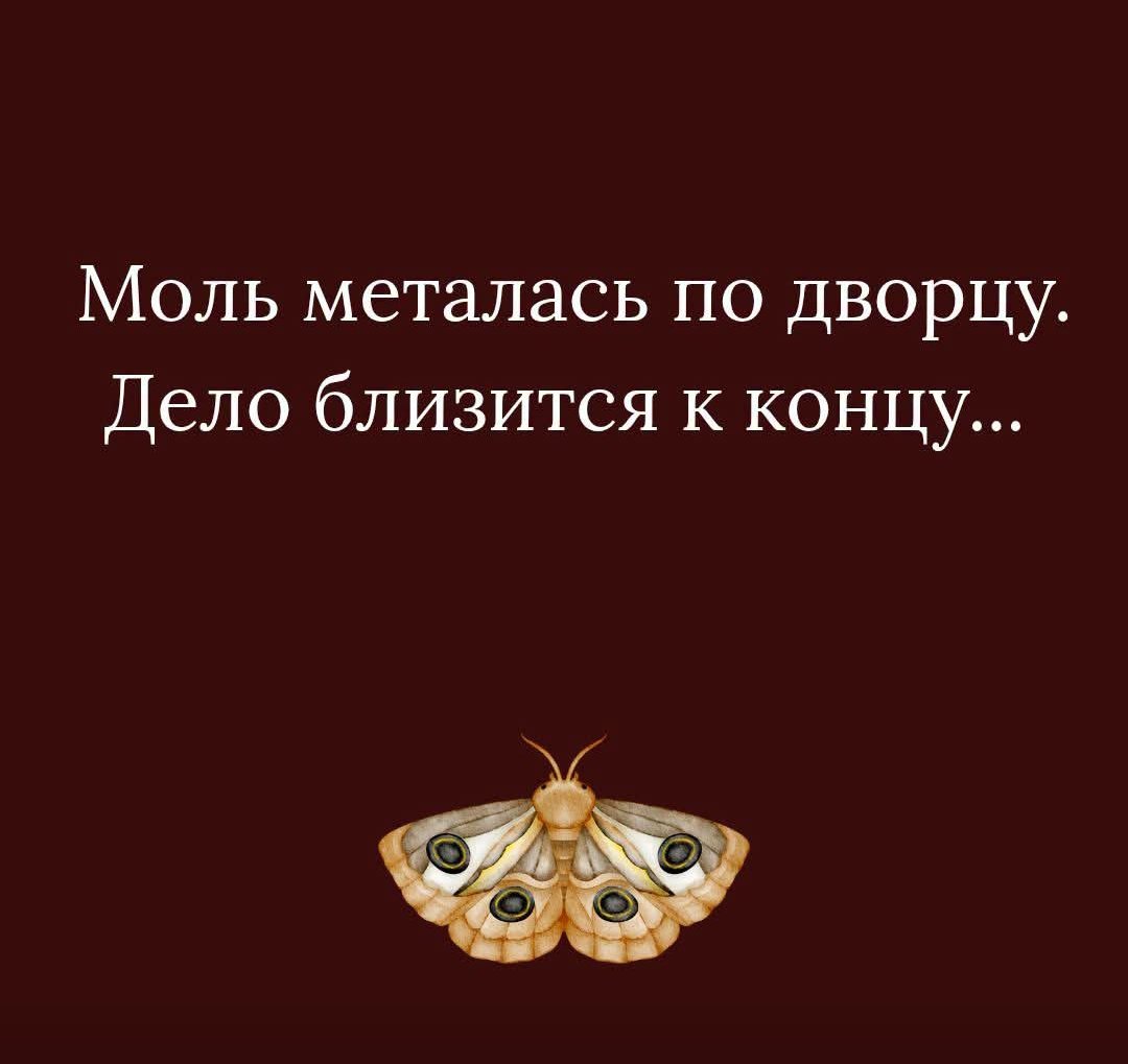 SheffUkraina's tweet photo. https://t.co/sHnTkwpyF7