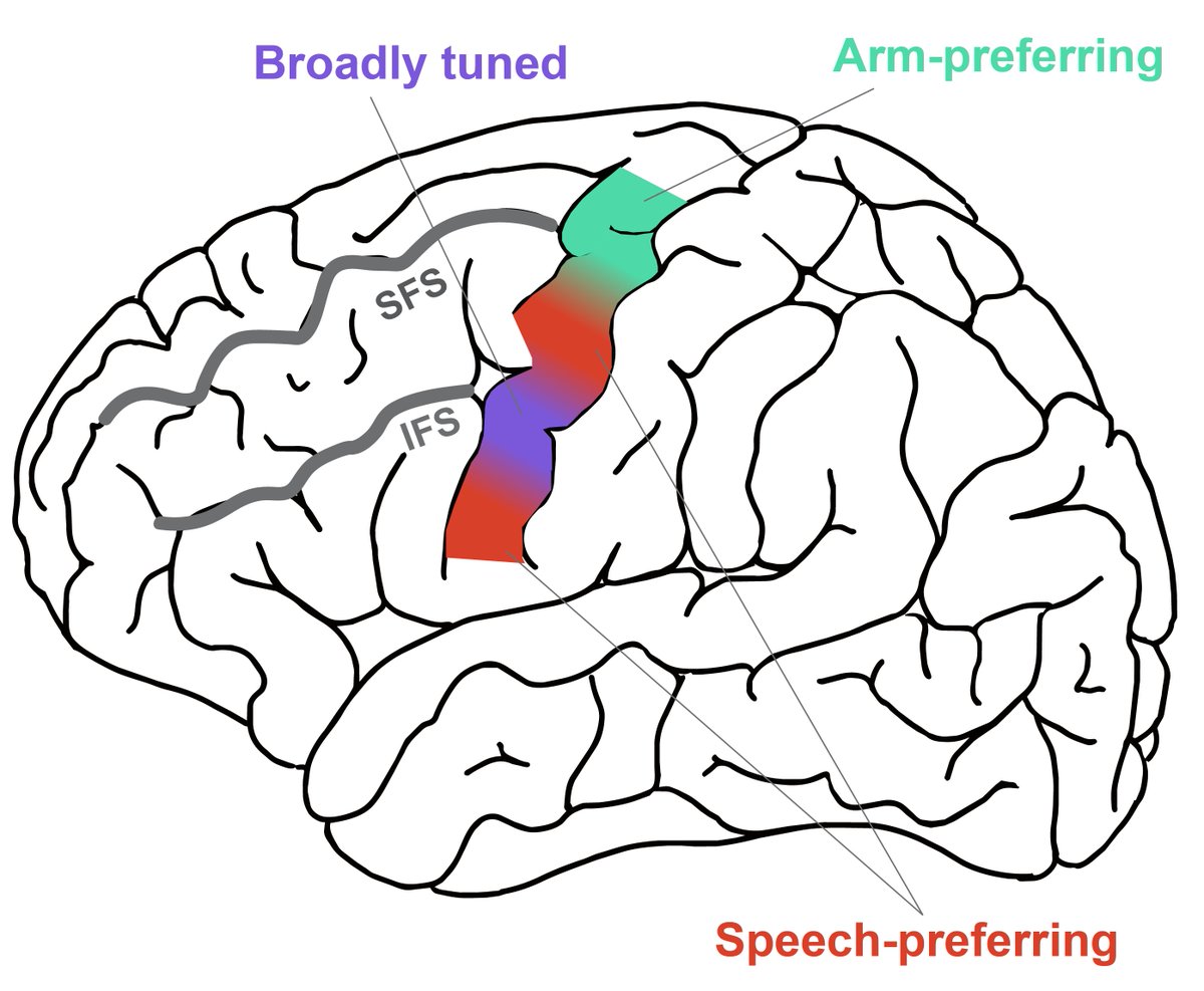 Wu Tsai Neurosciences Institute tweet media