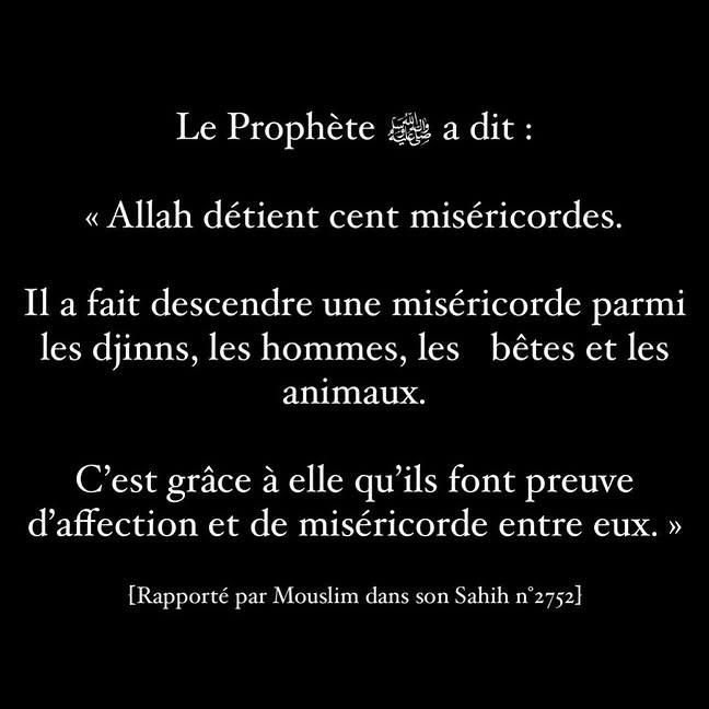 Yamuhammad07's tweet photo. https://t.co/EZyorMo5TO